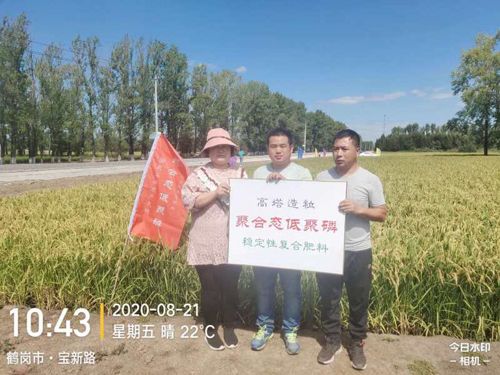 ͨ�ķ��r�Ƹ����;��׏ͺϷ���ˮ���ϵ�Ч�����F