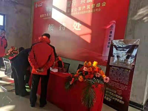 ����_������|����ʡ����